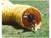 tunnel.jpg 26.3 KB